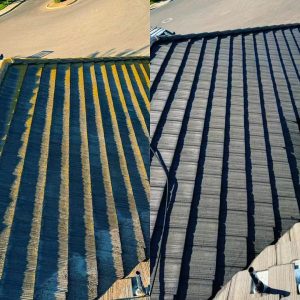 roof cleaning Fresno