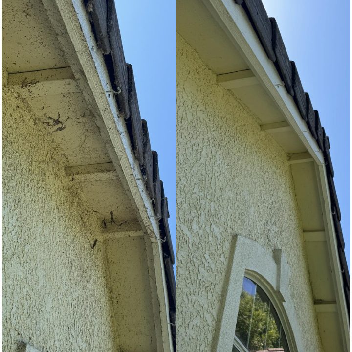 Pressure Washing Reedley, CA